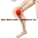 脂肪体を理解して膝関節痛を取り除く！脂肪体特性と膝関節評価・治療方法【膝関節痛は脂肪体を１番に見るべし！】